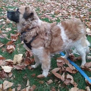 Meet your Posher, Carly